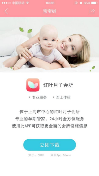 宝宝树广告投放.png